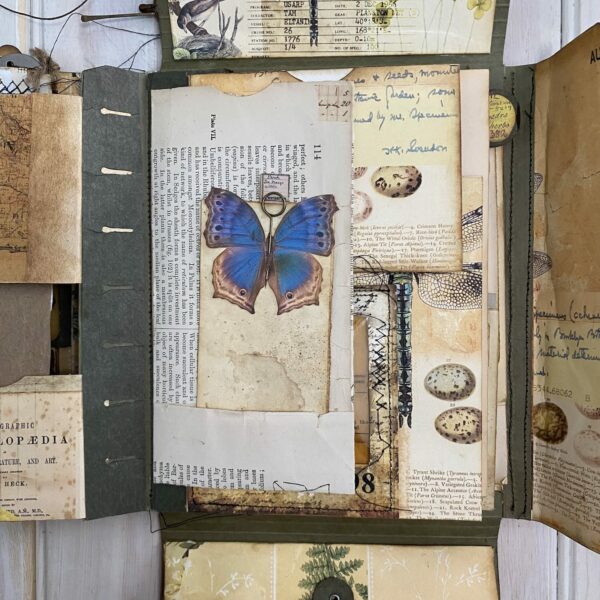 Journal page with butterfly print