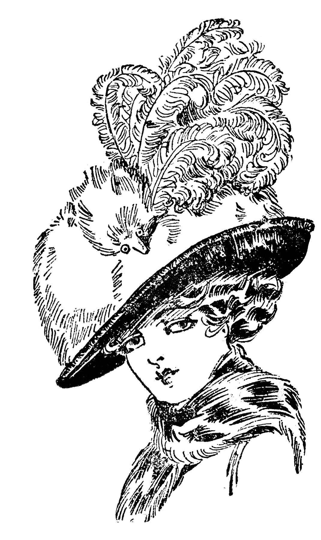 12+ Large Victorian Hats Images - Ladies - The Graphics Fairy