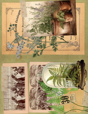The Plant Woman printable journal pages