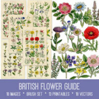 vintage British Flower Guide ephemera bundle