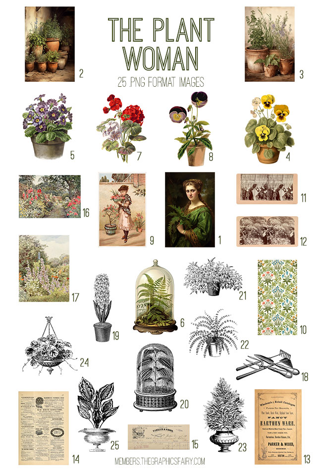 vintage The Plant Woman ephemera digital image bundle
