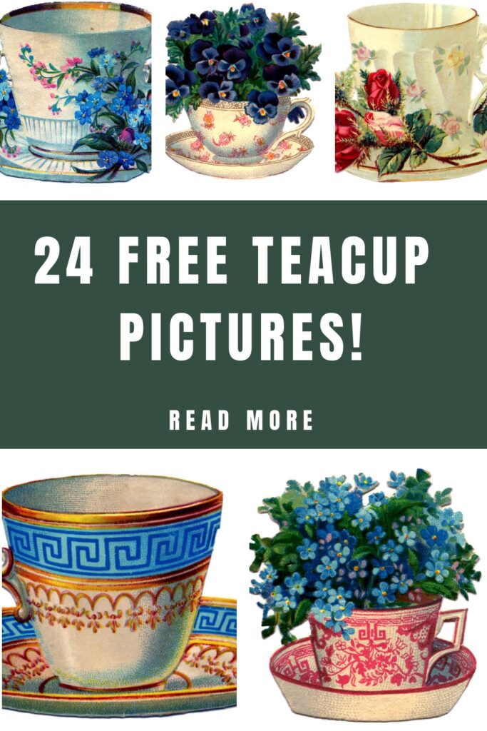 24 Pretty Teacup Pictures!