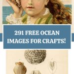 291 Free Ocean Images Pin