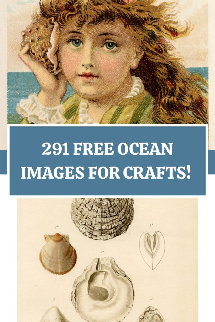 291 Free Ocean Images Pin