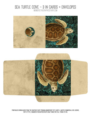 Sea Turtle Cove three inch cards and envelope