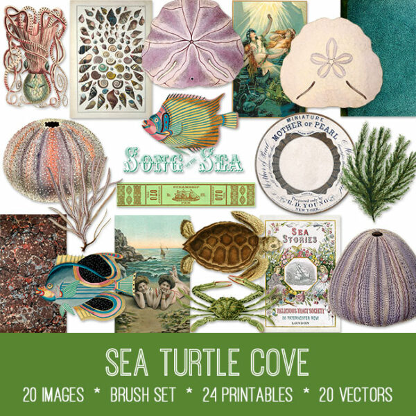 Sea Turtle Cove ephemera vintage images
