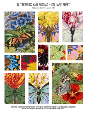 Butterflies & Blooms printable collage sheet
