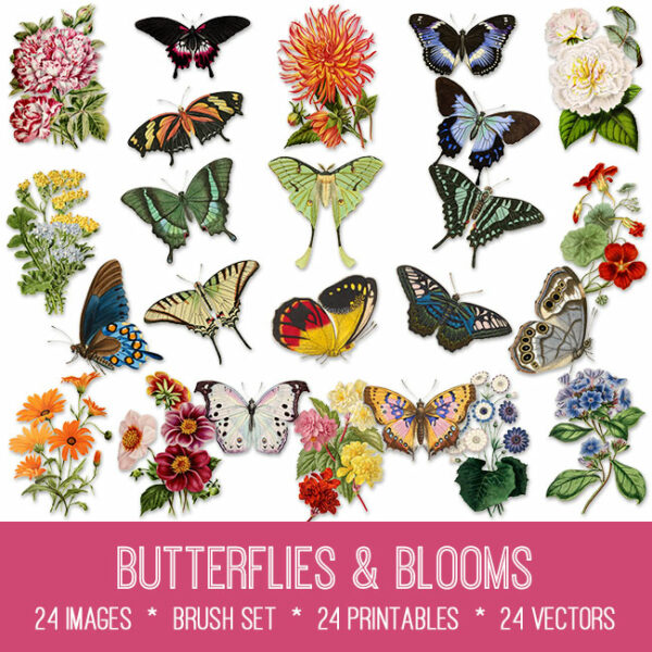 Butterflies & Blooms ephemera vintage images