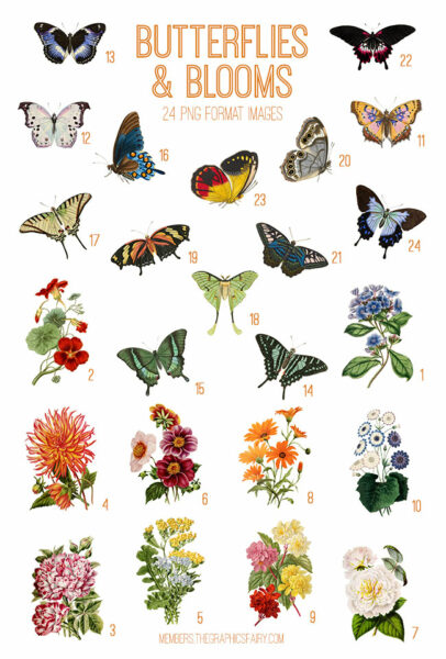 vintage Butterflies & Blooms ephemera digital image bundle