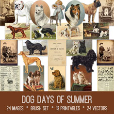 vintage Dog Days of Summer ephemera bundle