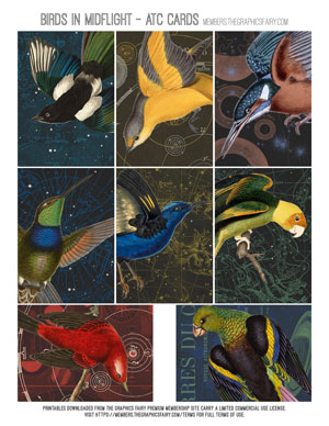 Birds in Midflight assorted printable Artist Trade Cards