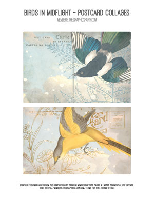 Birds in Midflight assorted printable postcard collages