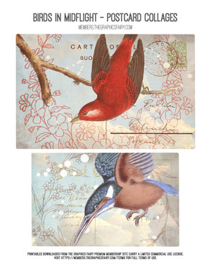 Birds in Midflight assorted printable postcard collages