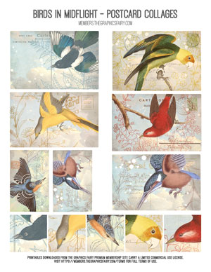 Birds n Midflight assorted printable postcard collages