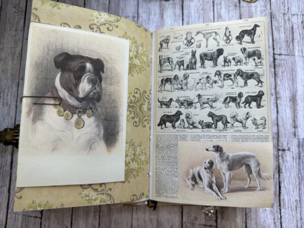 Journal spread with dog illustrations