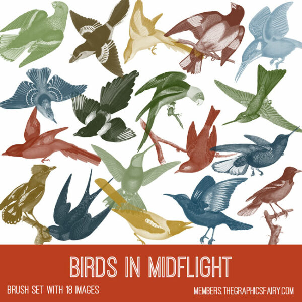 vintage Birds in Midflight ephemera brush set