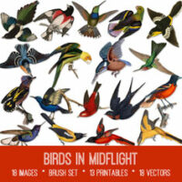 vintage Birds in Midflight ephemera bundle