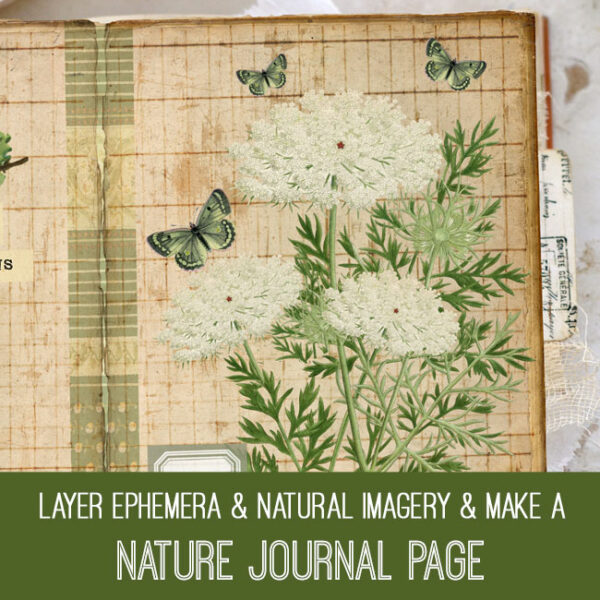 Nature Journal Page PSE Tutorial