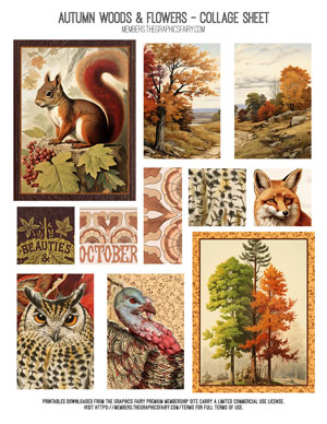Autumn Woods and Flowers assorted printable Collage Sheet