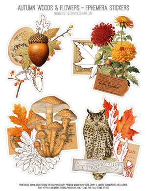 Autumn Woods and Flowers assorted printable ephemera stickers