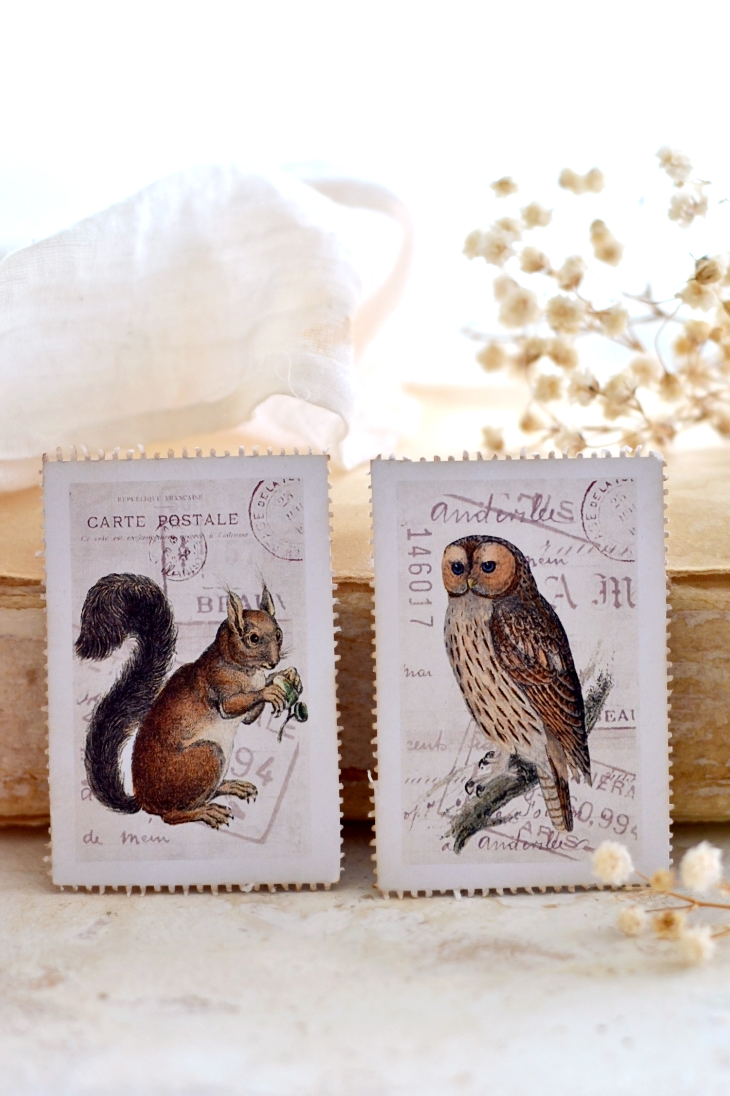 squirrel and owl postage stamps