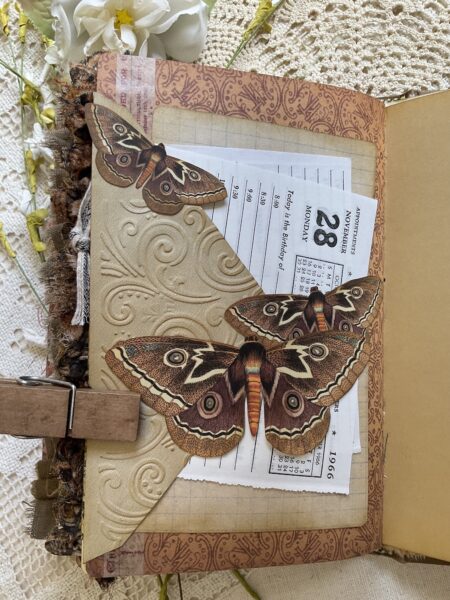 Journal page with three moth images