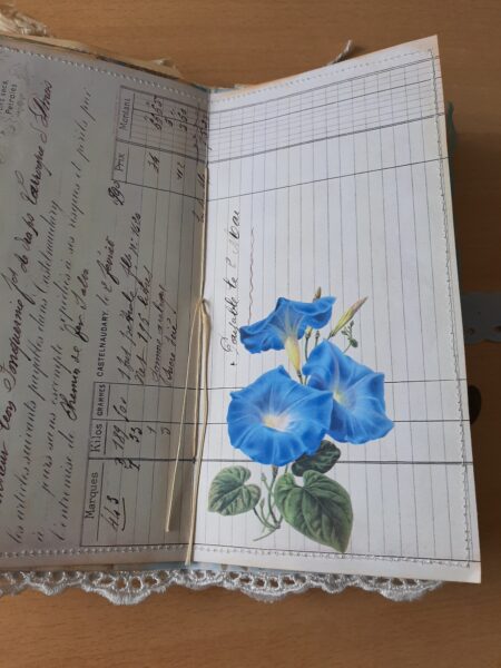 Journal spread with ledger paper and blue flowers