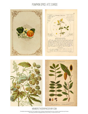 Pumpkin Spice Ephemera assorted printable Artist Trading Cards