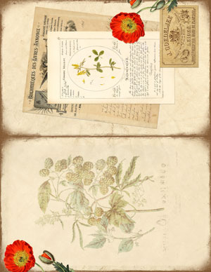 Pumpkin Spice Ephemera printable journal pages
