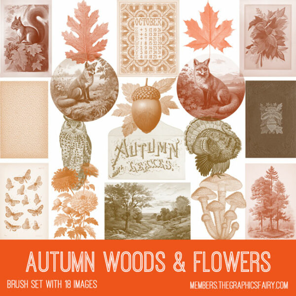 vintage Autumn Woods and Flowers ephemera brush set