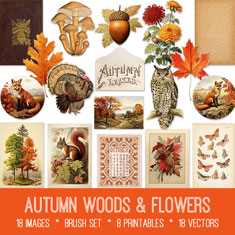 vintage Autumn Woods and Flowers ephemera bundle