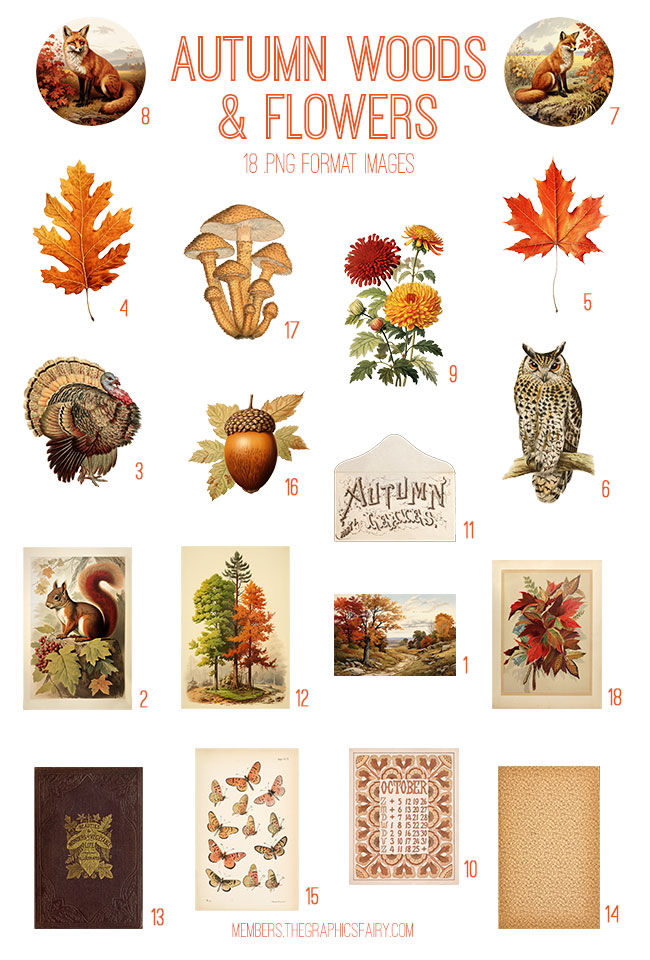 vintage Autumn Woods and Flowers ephemera digital image bundle