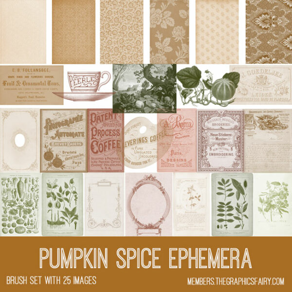 vintage Pumpkin Spice Ephemera brush set