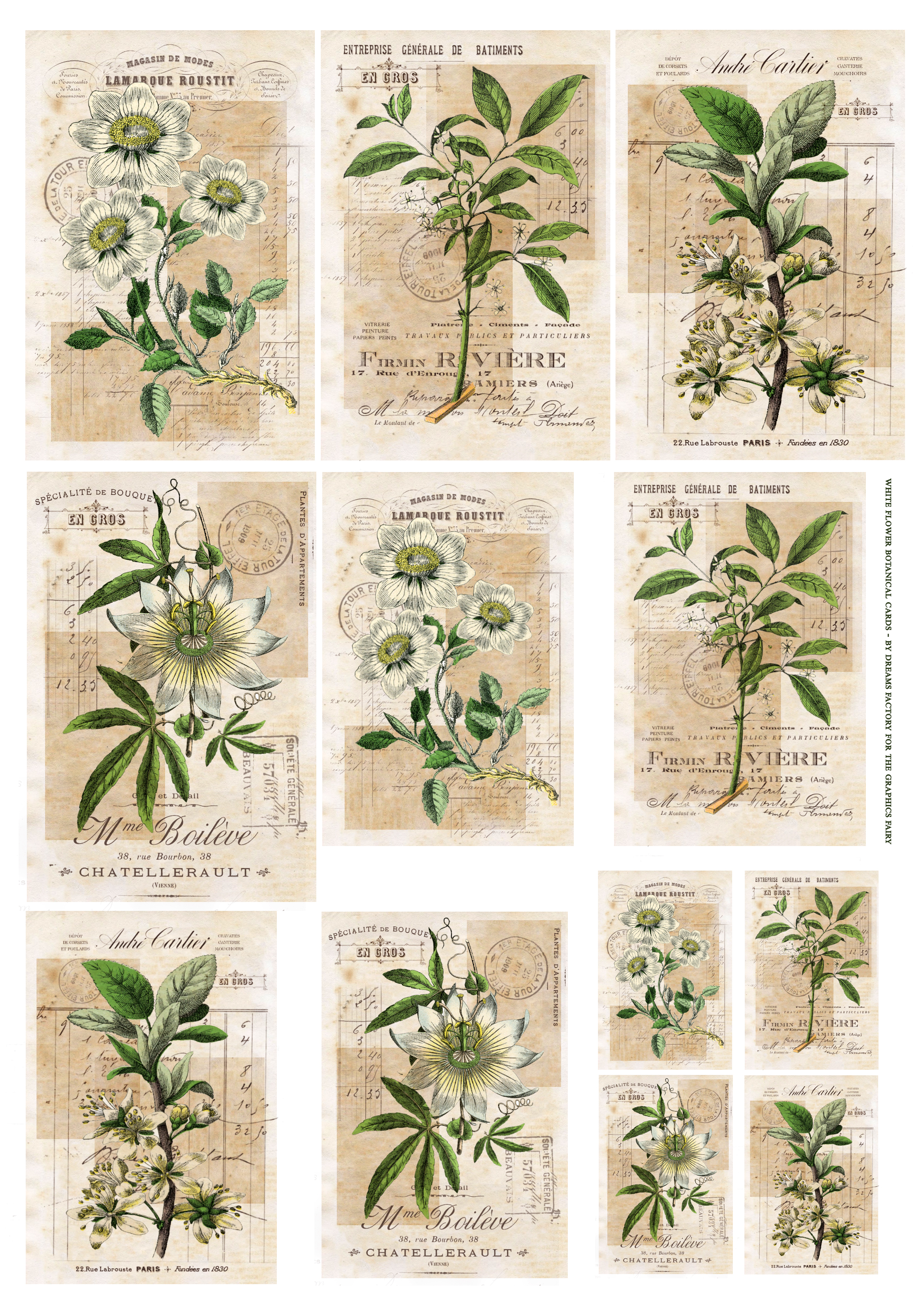 white flower botanical cards printable