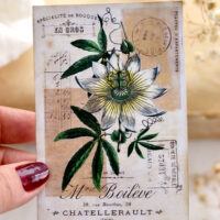Vintage Gold Botanical cards
