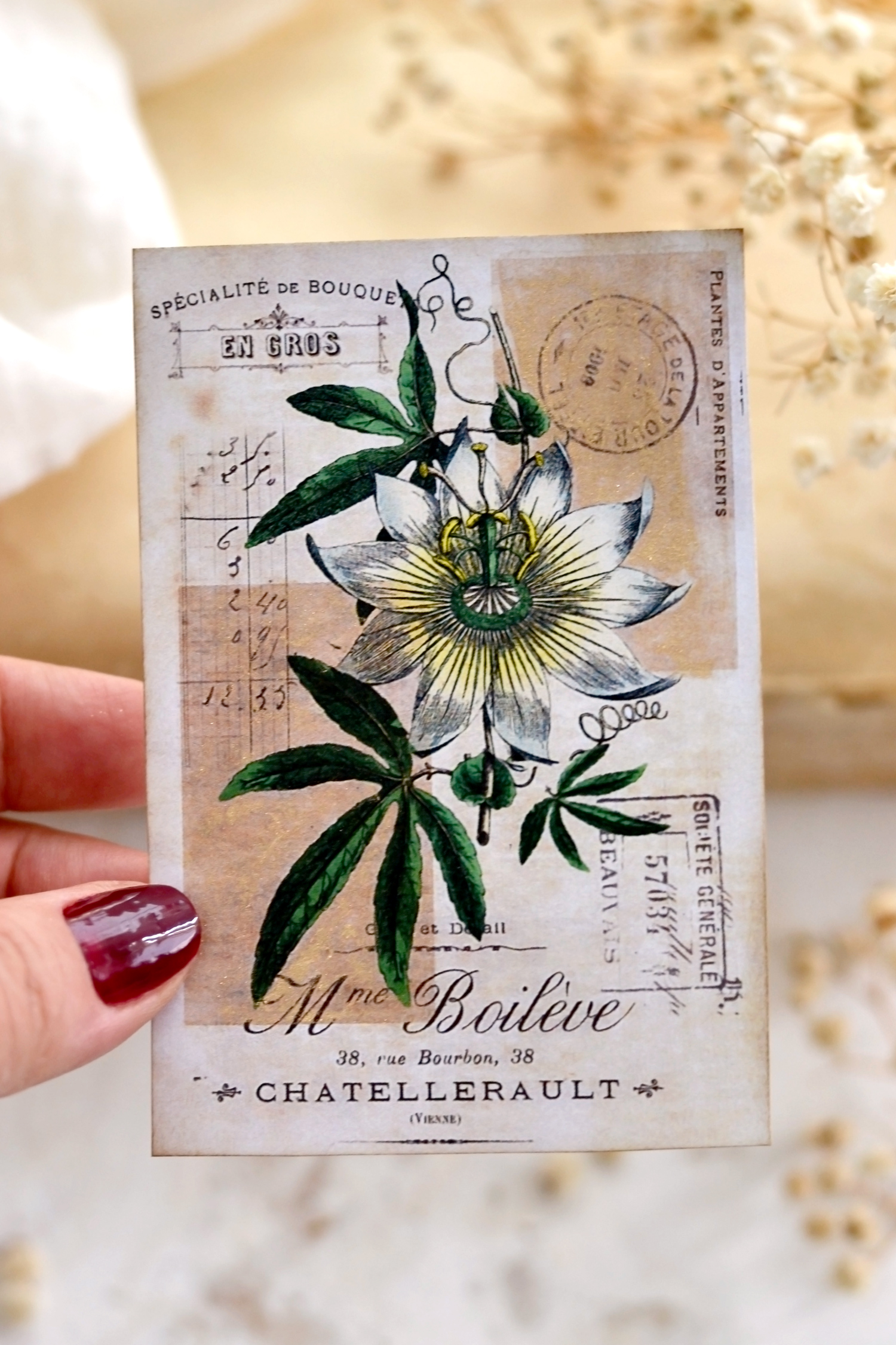Vintage Gold Botanical cards 