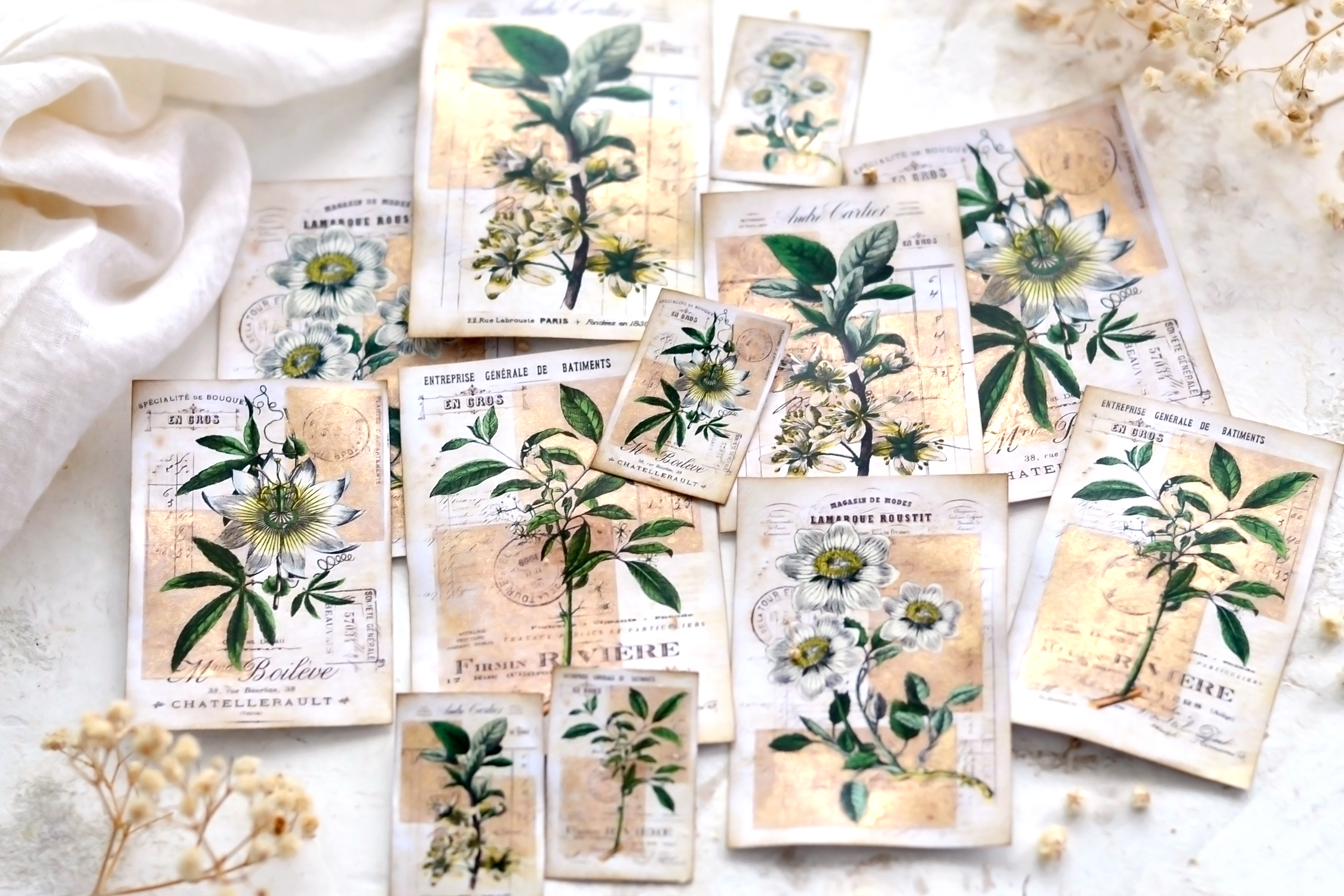 Vintage Gold Botanical cards 