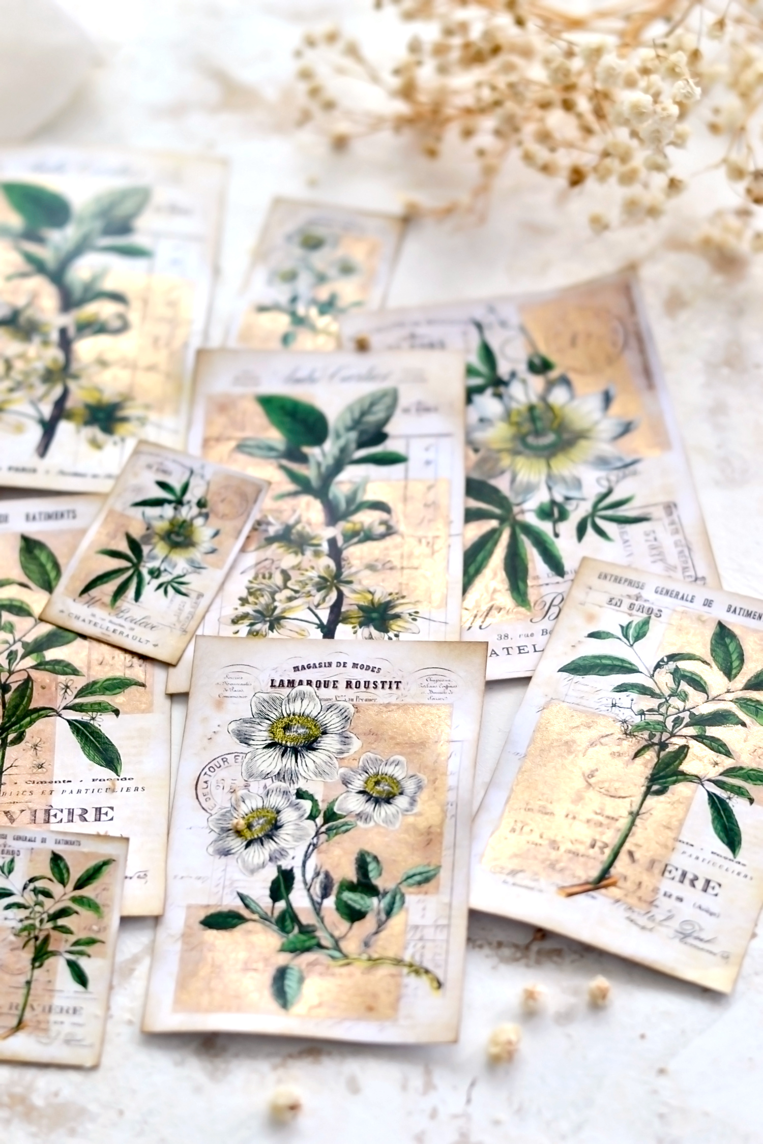 white flower botanical cards