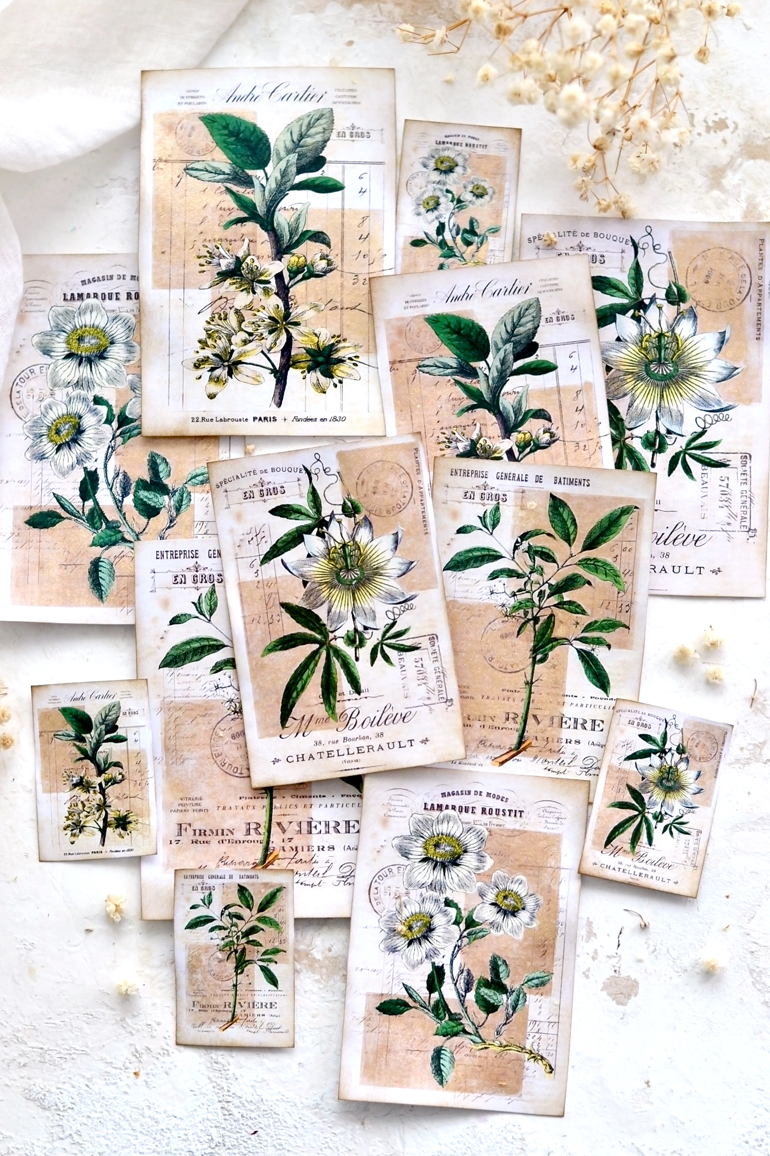 vintage gold botanical cards