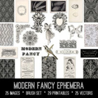 vintage Modern Fancy Ephemera bundle