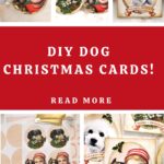 DIY Dog Christmas Cards Pin