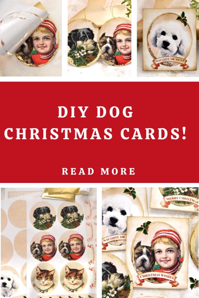 DIY Dog Christmas Cards Pin