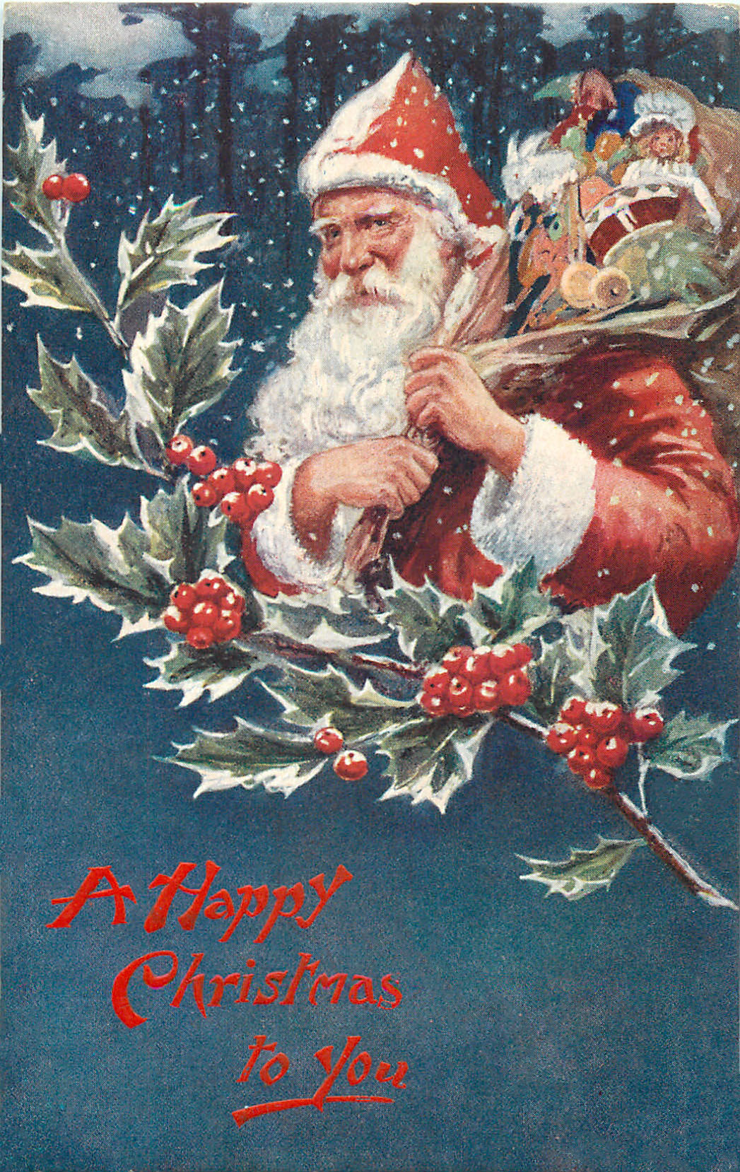 Christmas Card with Berries