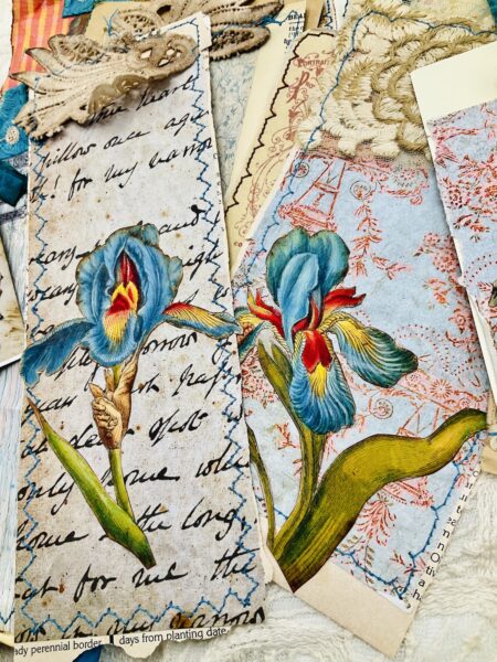 Journal page with Iris flowers