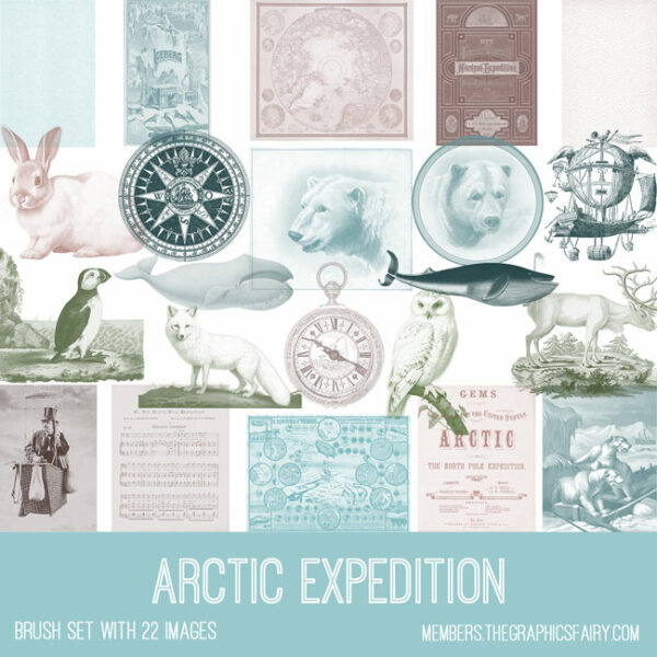 vintage Arctic Expedition ephemera brush set