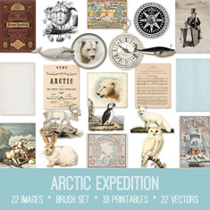 vintage Arctic Expedition ephemera bundle