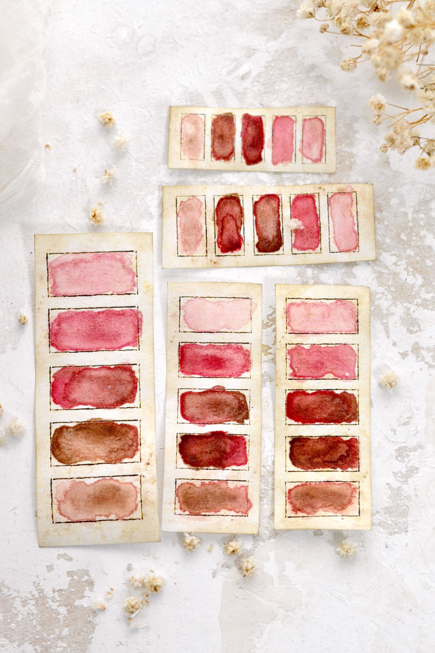 vintage pink watercolor swatches