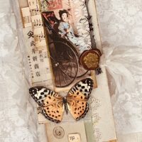Journal cover with butterfly