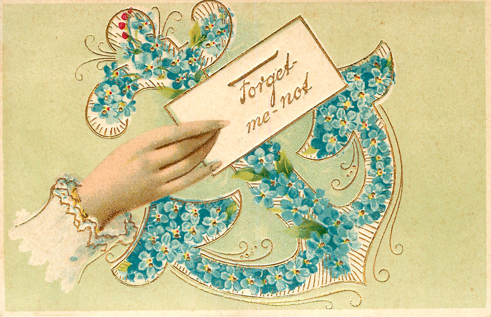 Forget Me Not Postcard