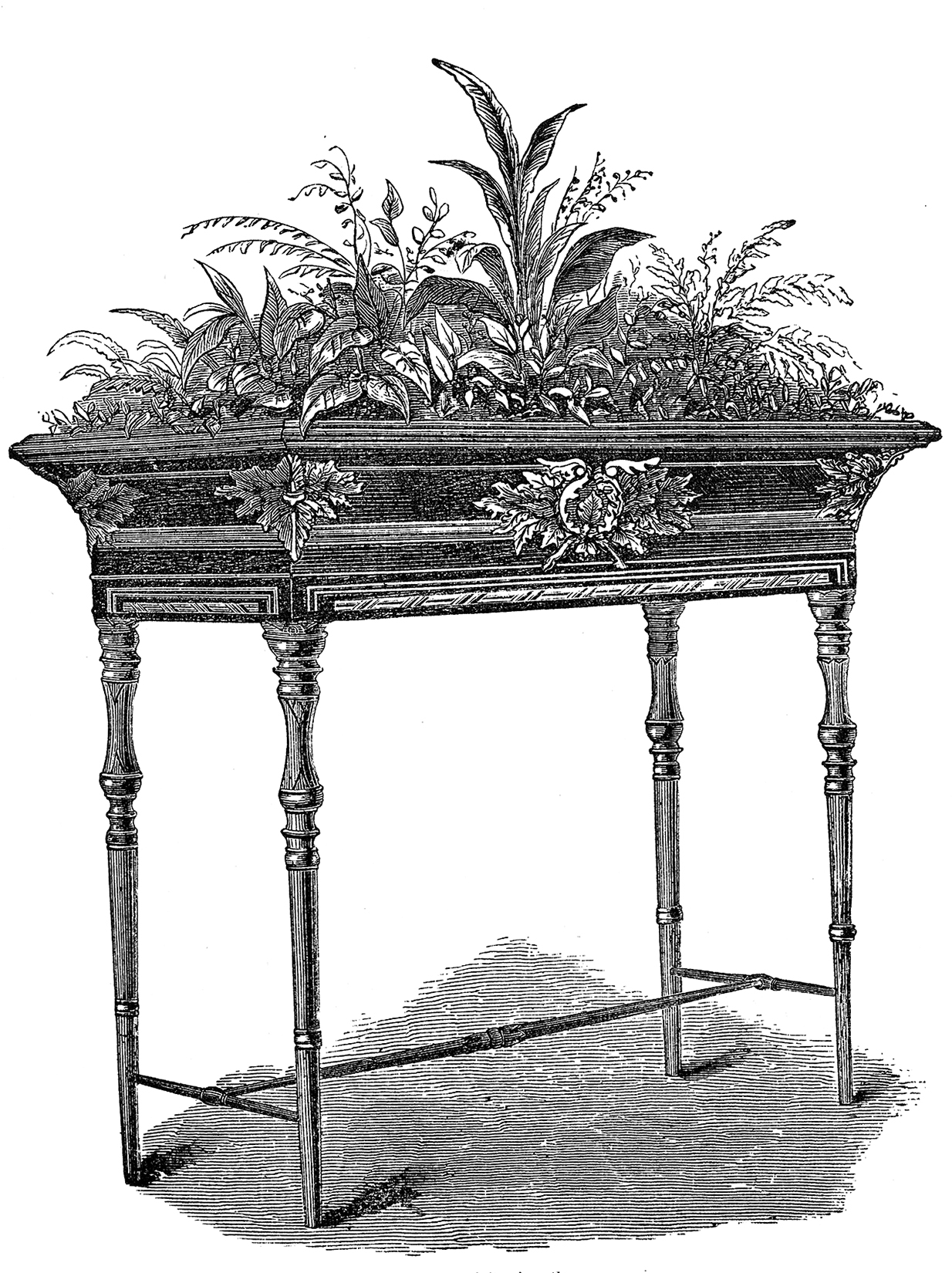 Victorian Plant Display